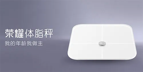 ��ҫ��֬��(��֬�ӽ�������)