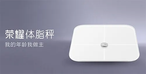 ��ҫ��֬��(��֬�ӽ�������)