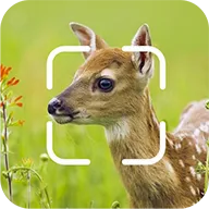 TrailCam Go(Ұ���������APP)