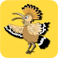 The Birds����Ϸ���ѽ�����ȸ��(������ϷӦ��)