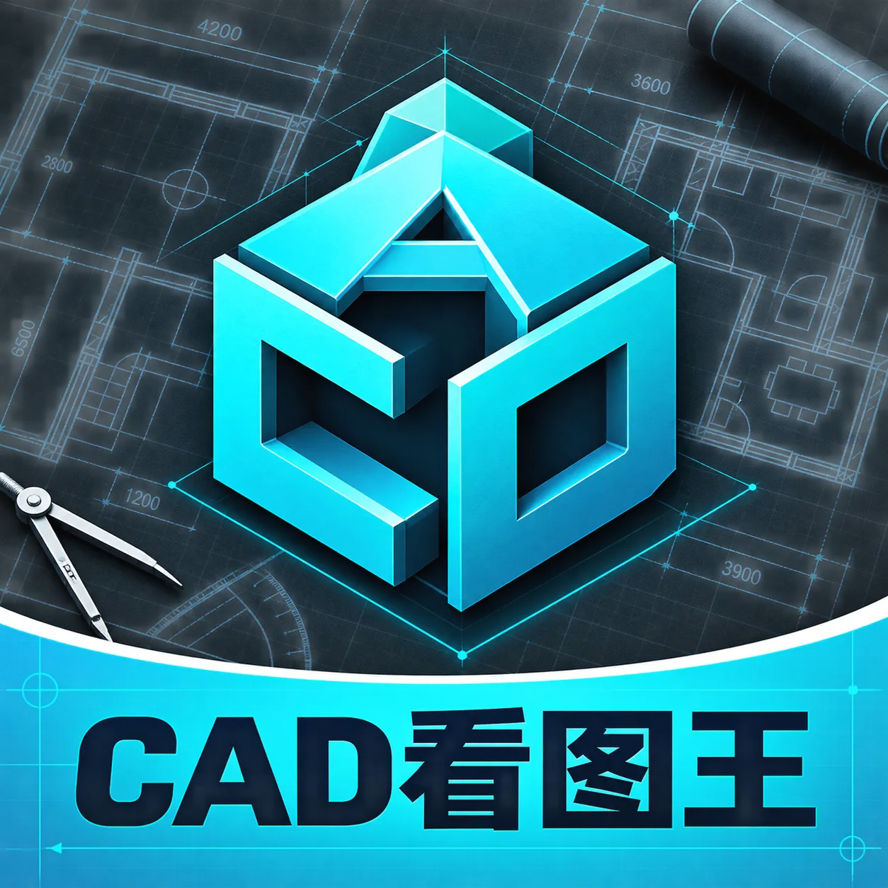 CADͼֽ��ͼ��(CADͼֽ�鿴����)