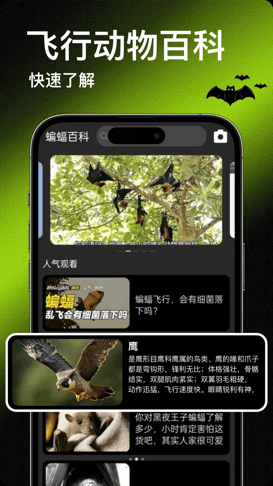 Bat����2026�ٷ����°汾v1.2 ��Ѱ��ͼ1