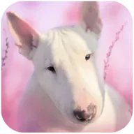 ��ţȮ��ģ����Ϸ�����ֻ���