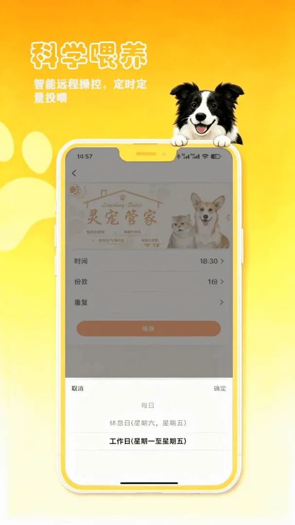 petCompanionR���ܼ�2026�ٷ����°汾v1.0.17 �ֻ����ͼ0