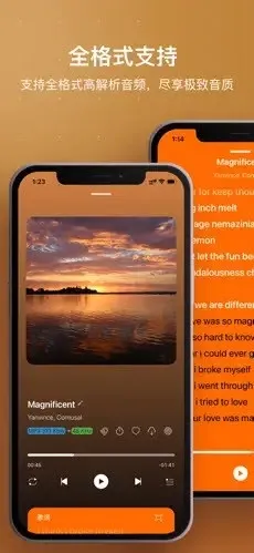 HiFier(���ֲ��Ź���)v1.0 ��׿���ͼ3