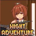 Night Adventure(��װ��Ϸ)