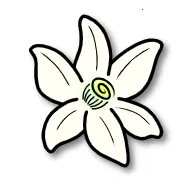 �Ȼ�ģ����2026���ذ�װ