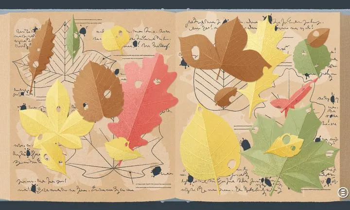 ����һ�㣺������2026�ٷ�����v3.5.81 �ٷ������ͼ3