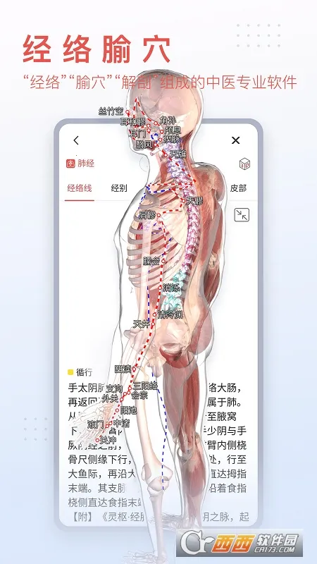 3dbody��������v8.8.72 �ֻ����ͼ0