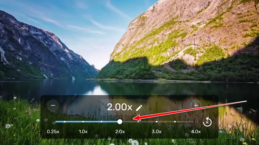 mx�������޹���