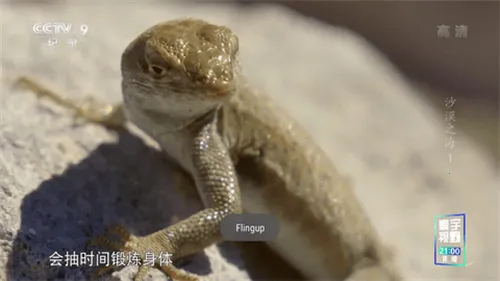 �ǻ���Ӻ����appv1.0.50 �ٷ������ͼ3