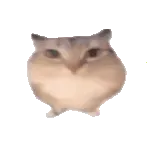 �ͰͲ�һ(δ�ἰ���幦���޷�����)