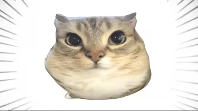 �ͰͲ�һ(δ�ἰ���幦���޷�����)v1.0 ��׿���ͼ0