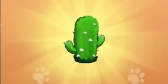 ��Ҫ��װ���ڹ��ƽ��