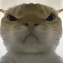 �������ж����󹤾�2026���ذ�װ