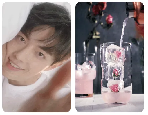 ����2026���°汾