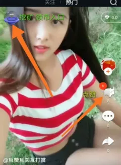 ��ţ��Ƶ2026�ٷ�����