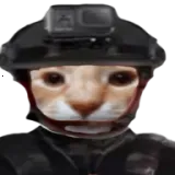 ��ŭ���ھӣ�����2������ư�2026�ٷ�����