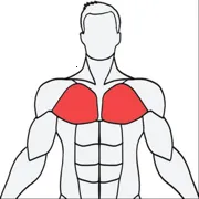 Muscle Wiki(������������)