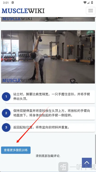 Muscle Wiki(������������)