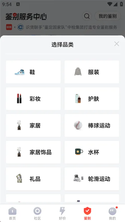 ʶ��(���Ƽ�����)