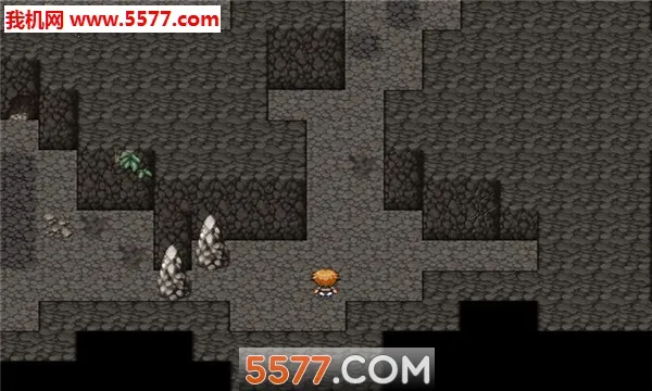 ��ͨ��RPG2026�ٷ�����v1.0 ��Ѱ��ͼ2