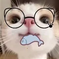 �����Pro��׿��ƻ������(������������)