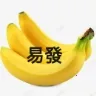 �װlTV2026���°汾
