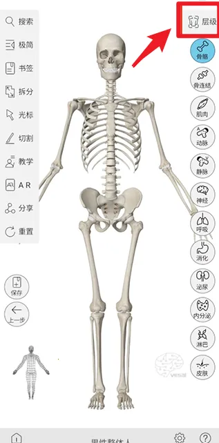 ά����3D���ʰ�׿���ֻ���