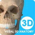 ά����3D���ʰ�׿���ֻ���