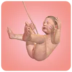 �ҵĺ��ӾŸ���2026���°汾