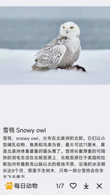 ÿ�ն���(�������APP)v1.0.0 ��׿���ͼ3