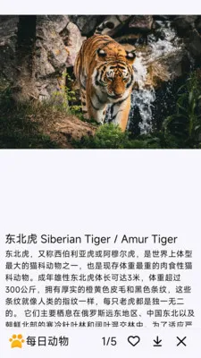 ÿ�ն���(�������APP)v1.0.0 ��׿���ͼ1