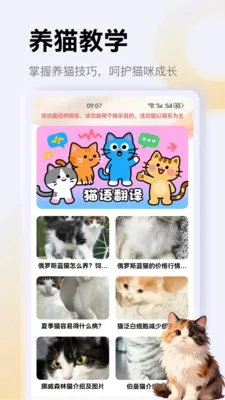 ����è��app2026�ٷ����°汾v1.4 ��׿���ͼ3