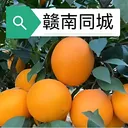 ����ͬ�������ֻ���