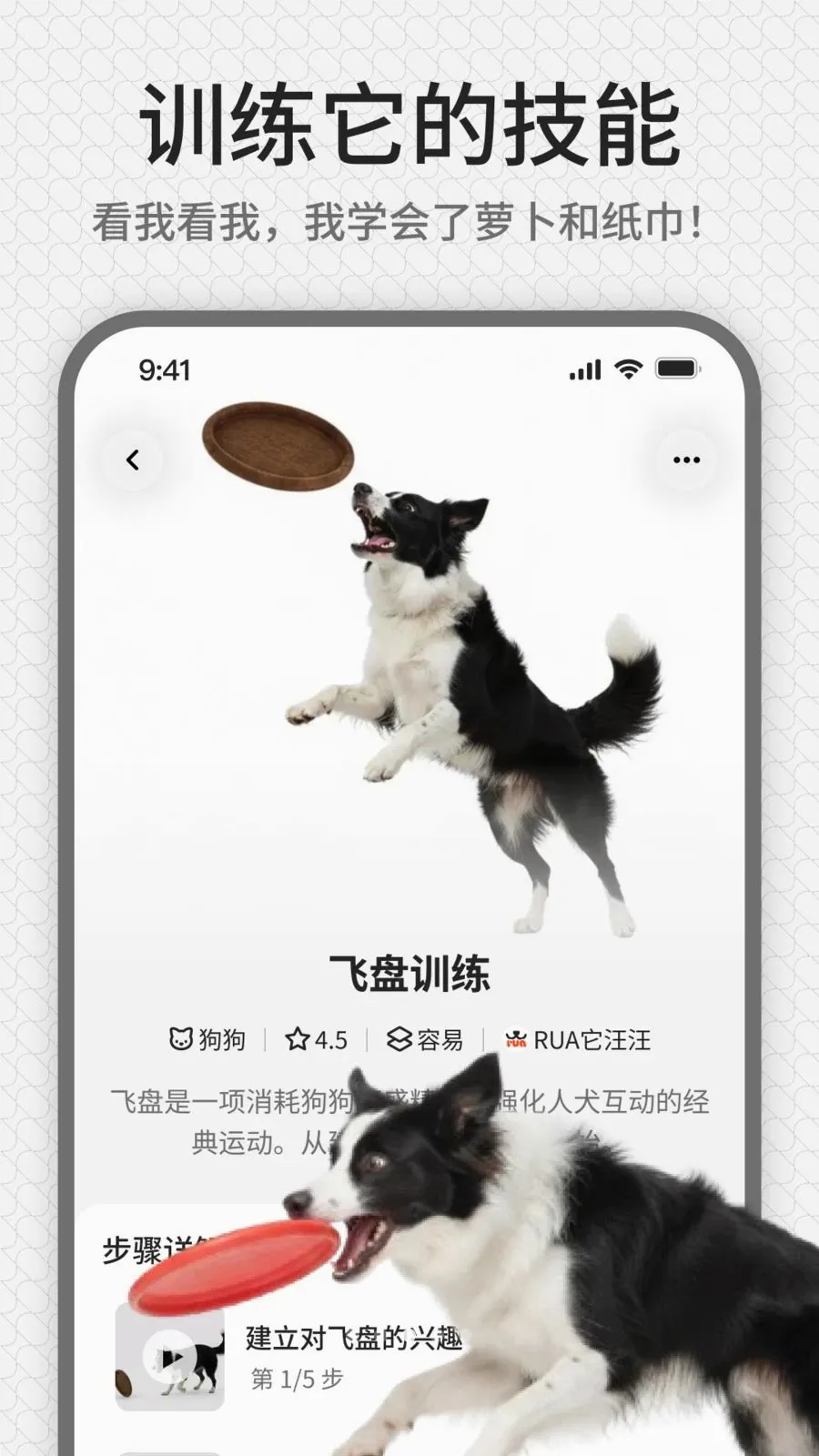 rua��(����ѵ��ƽ̨)v1.0.1 �ֻ����ͼ2