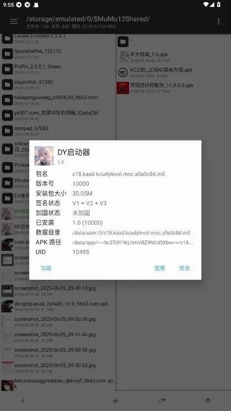 DY������2026���°汾