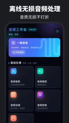 ������ȡAudio��������2026���°汾