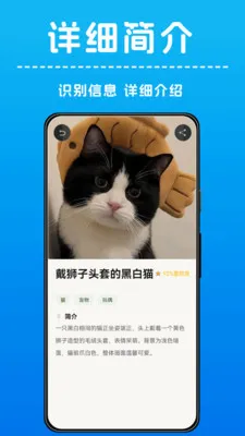 AI����ʶ��(����ʶ����)v1.0.4 ��Ѱ��ͼ2