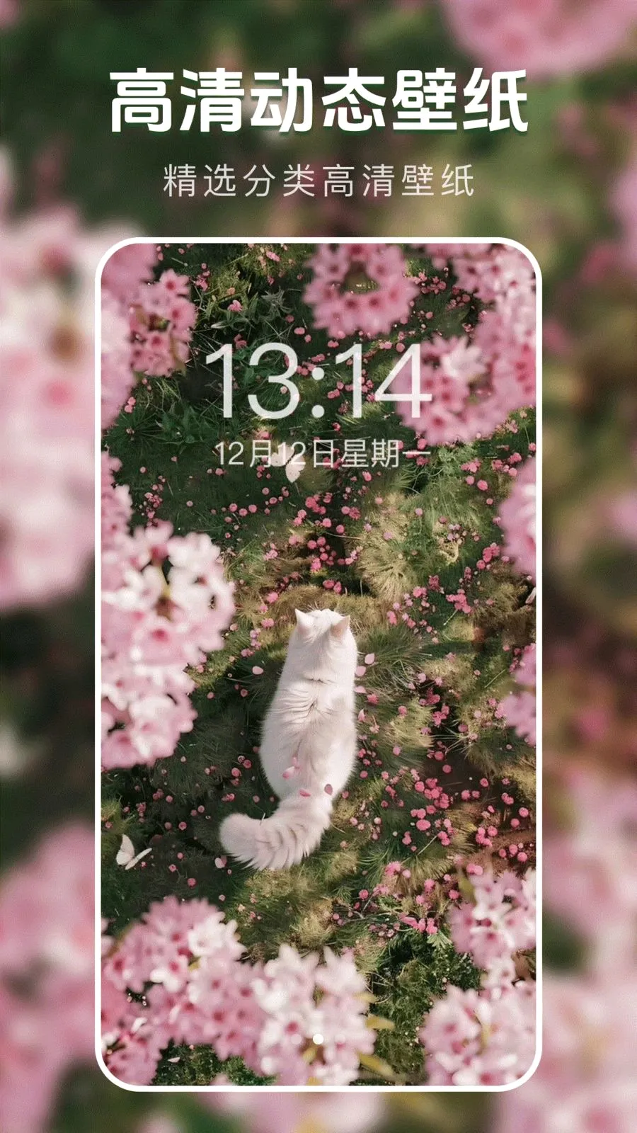 ��̬�����ֽ��(��ֽ����Ӧ��)v1.0.0 ��׿���ͼ1