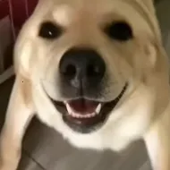�󹷽���Ϸ������ư������ֻ���