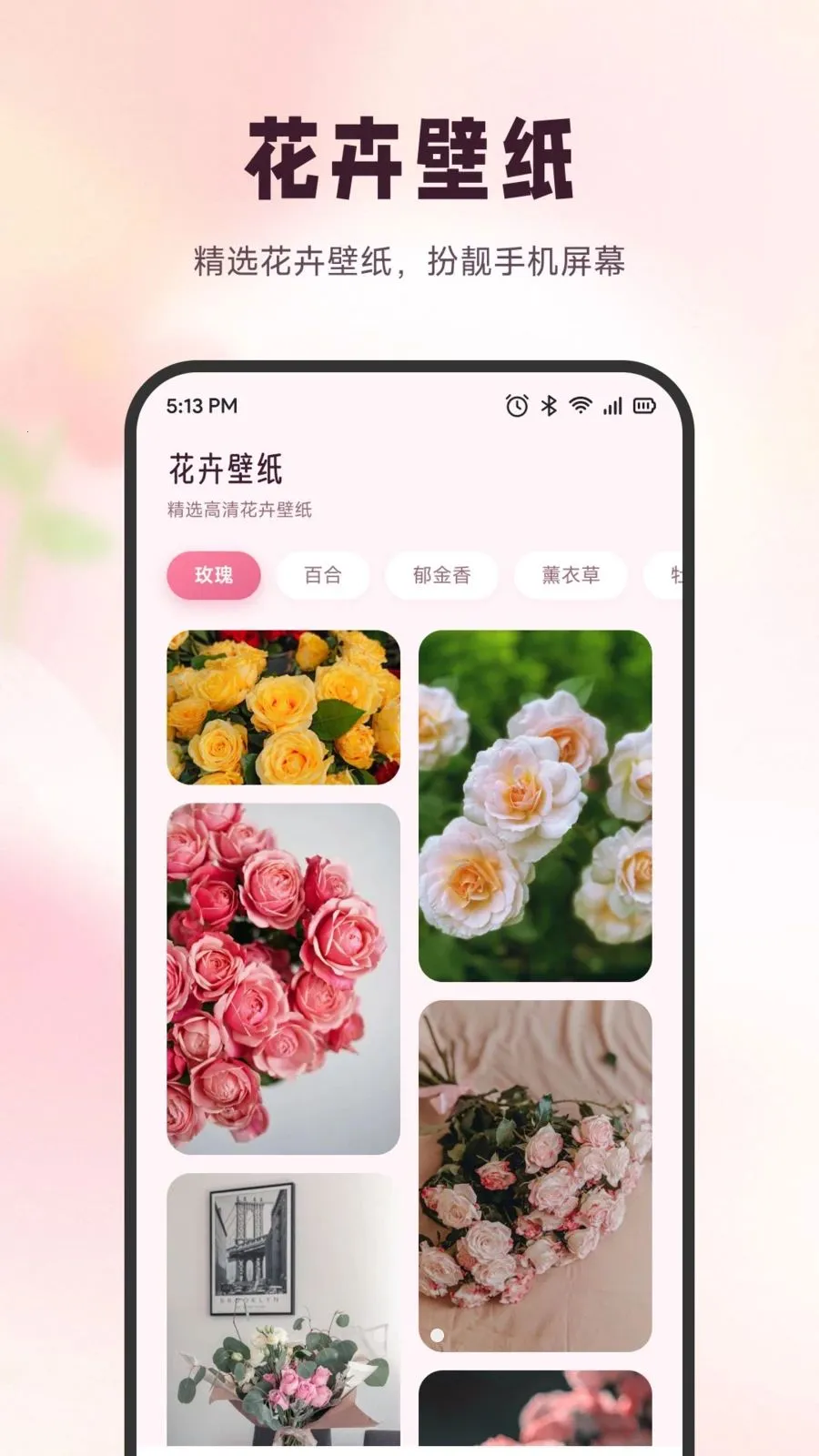 ѩ�ڻ���(ʶ����������)v1.6 �ٷ������ͼ0