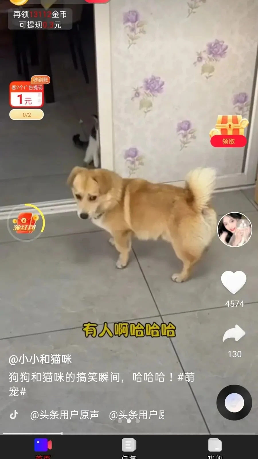��ӯ����(ˢ��ƵѰ��׬Ǯ)v1.0.1 �ٷ������ͼ0