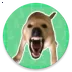 �󹷽�������(��Ч������ť)