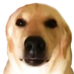 ���������(����������Ϸ)
