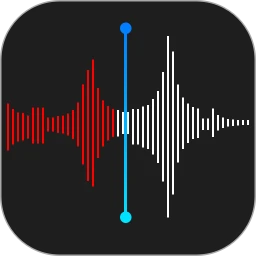 ¼������¼����(¼����������)