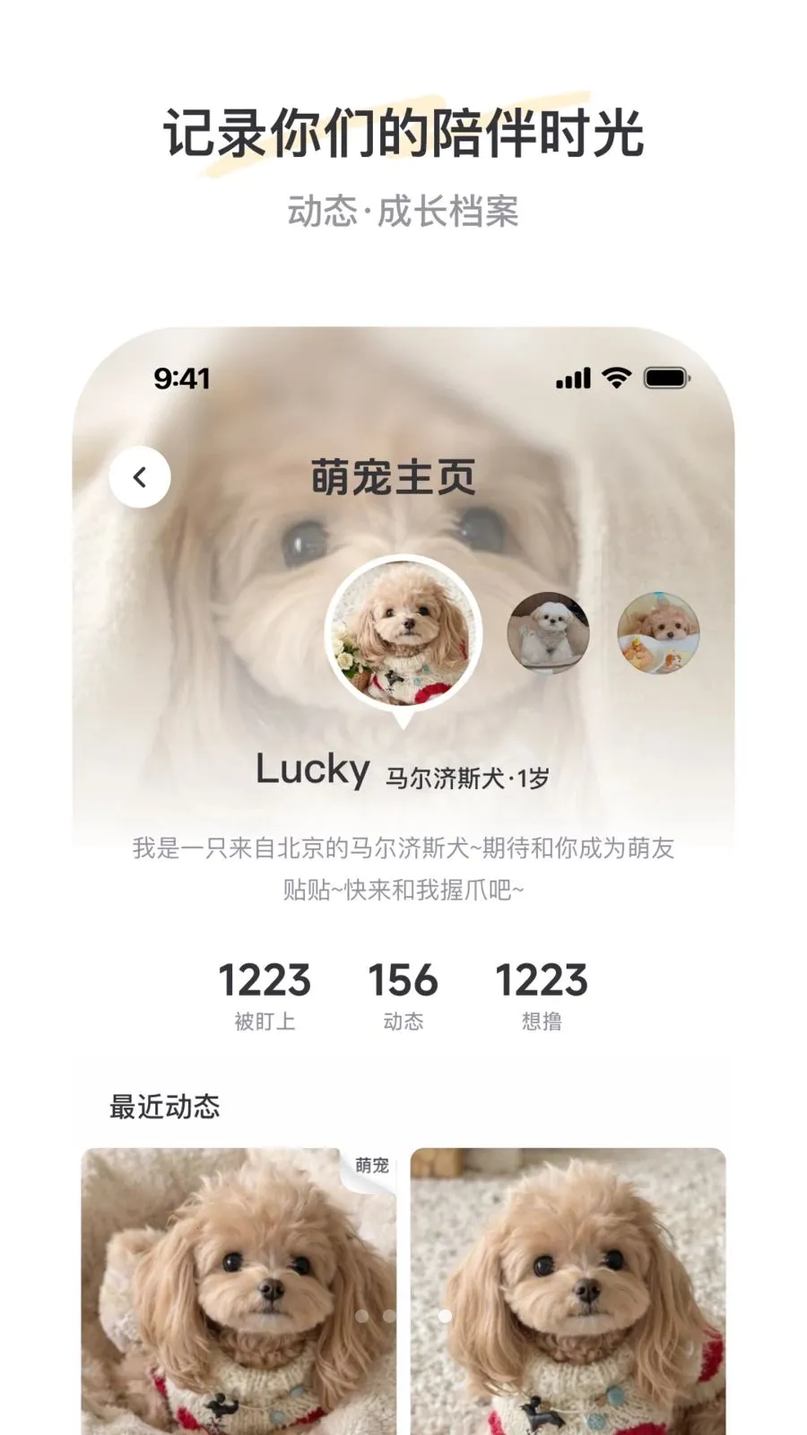 PetSpace(�ȳ��罻ƽ̨)v2.3.1 �ֻ����ͼ2