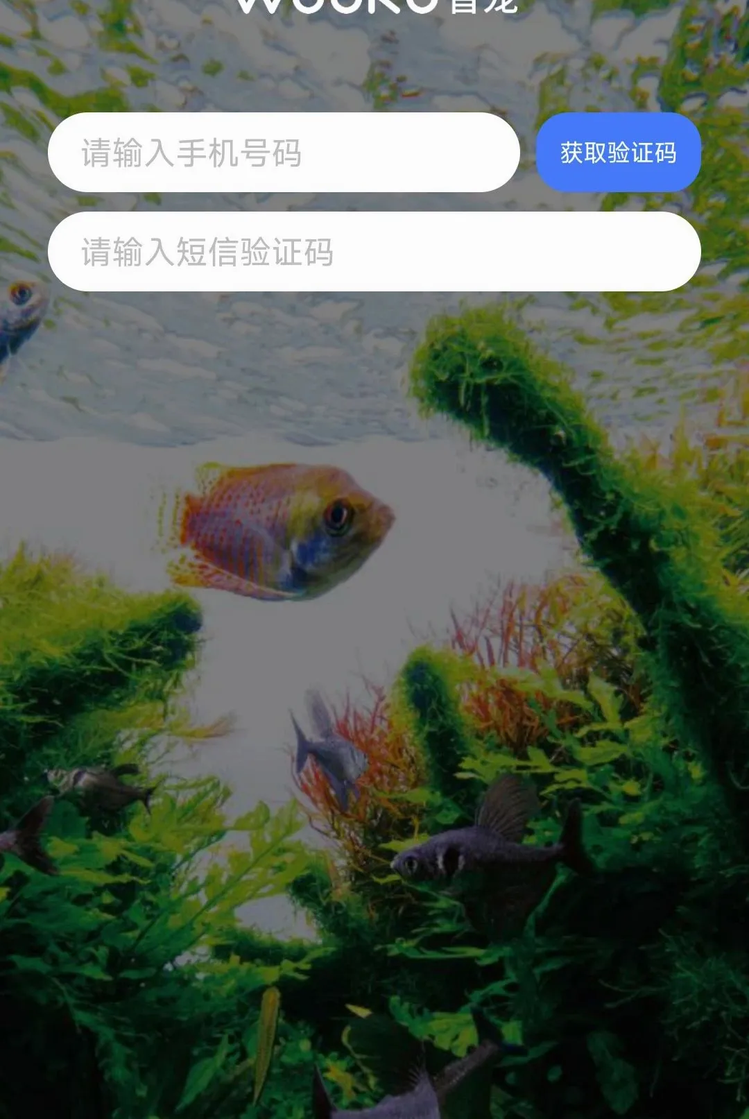 WOOKU�ǳ�(����ˮ��Ʒ��)v1.0.29 ��׿���ͼ2